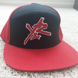 Young and Reckless Snapback